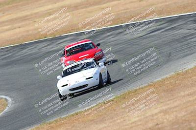 media/May-06-2023-Lucky Dog Racing (Sat) [[8f2256f436]]/Turn 2 10a/